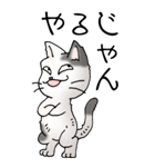 猫大好き！（大）その52（個別スタンプ：18）