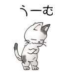 猫大好き！（大）その52（個別スタンプ：19）