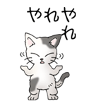 猫大好き！（大）その52（個別スタンプ：20）