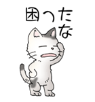 猫大好き！（大）その52（個別スタンプ：21）