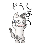 猫大好き！（大）その52（個別スタンプ：22）