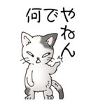 猫大好き！（大）その52（個別スタンプ：23）