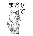 猫大好き！（大）その52（個別スタンプ：24）