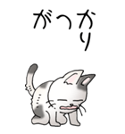猫大好き！（大）その52（個別スタンプ：27）