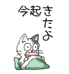 猫大好き！（大）その52（個別スタンプ：29）