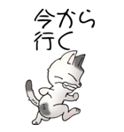 猫大好き！（大）その52（個別スタンプ：30）
