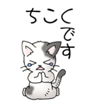 猫大好き！（大）その52（個別スタンプ：31）