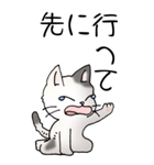 猫大好き！（大）その52（個別スタンプ：32）