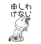 猫大好き！（大）その52（個別スタンプ：33）