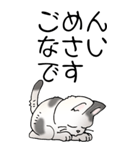 猫大好き！（大）その52（個別スタンプ：34）