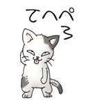 猫大好き！（大）その52（個別スタンプ：35）