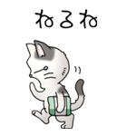 猫大好き！（大）その52（個別スタンプ：37）