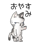 猫大好き！（大）その52（個別スタンプ：38）