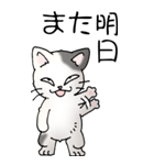 猫大好き！（大）その52（個別スタンプ：39）