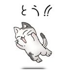 猫大好き！（大）その52（個別スタンプ：40）