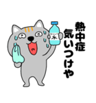【夏】ネコ三兄弟二郎29（個別スタンプ：8）
