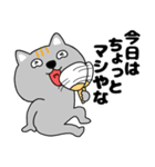 【夏】ネコ三兄弟二郎29（個別スタンプ：15）