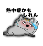 【夏】ネコ三兄弟二郎29（個別スタンプ：19）
