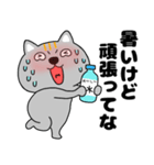【夏】ネコ三兄弟二郎29（個別スタンプ：20）