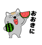 【夏】ネコ三兄弟二郎29（個別スタンプ：34）