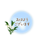 夏咲く花＊挨拶スタンプ（個別スタンプ：1）