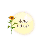 夏咲く花＊挨拶スタンプ（個別スタンプ：11）