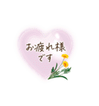 夏咲く花＊挨拶スタンプ（個別スタンプ：12）