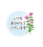 夏咲く花＊挨拶スタンプ（個別スタンプ：16）