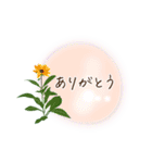 夏咲く花＊挨拶スタンプ（個別スタンプ：18）