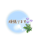 夏咲く花＊挨拶スタンプ（個別スタンプ：22）