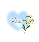 夏咲く花＊挨拶スタンプ（個別スタンプ：24）