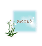 夏咲く花＊挨拶スタンプ（個別スタンプ：27）