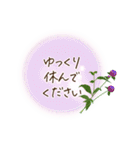 夏咲く花＊挨拶スタンプ（個別スタンプ：33）