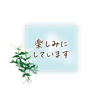 夏咲く花＊挨拶スタンプ（個別スタンプ：37）