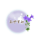 夏咲く花＊挨拶スタンプ（個別スタンプ：39）