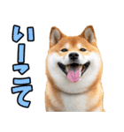 新潟弁☆柴犬（個別スタンプ：3）