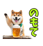 新潟弁☆柴犬（個別スタンプ：22）