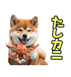 新潟弁☆柴犬（個別スタンプ：28）