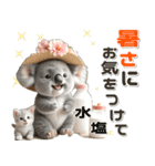 夏 猛暑 酷暑♡コアラとネコ（個別スタンプ：18）