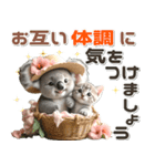 夏 猛暑 酷暑♡コアラとネコ（個別スタンプ：31）