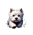 無言でウェストハイランドホワイトテリア（個別スタンプ：1）