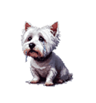 無言でウェストハイランドホワイトテリア（個別スタンプ：2）