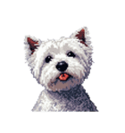 無言でウェストハイランドホワイトテリア（個別スタンプ：3）