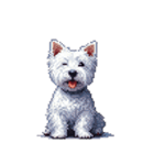 無言でウェストハイランドホワイトテリア（個別スタンプ：4）