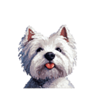 無言でウェストハイランドホワイトテリア（個別スタンプ：5）