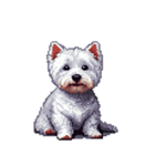 無言でウェストハイランドホワイトテリア（個別スタンプ：7）