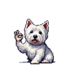 無言でウェストハイランドホワイトテリア（個別スタンプ：8）