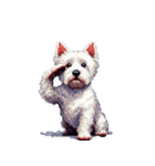 無言でウェストハイランドホワイトテリア（個別スタンプ：11）