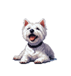 無言でウェストハイランドホワイトテリア（個別スタンプ：12）