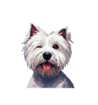 無言でウェストハイランドホワイトテリア（個別スタンプ：13）